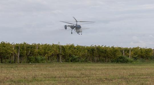Harc a szőlőkabócával: Helikopterekről permeteztek ebben a dunántúli megyében