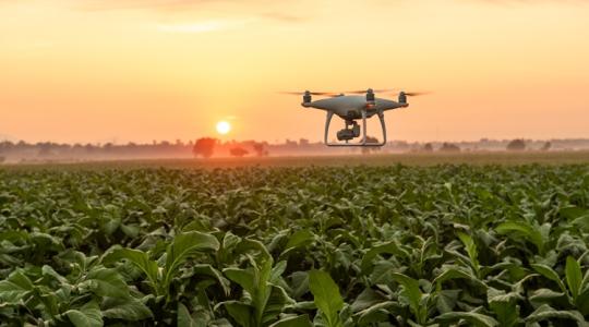 Vadkárfelderítés: ez a drón napi 24 órában repül, önmagát tölti és adatokat küld