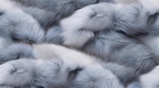 Ki lesz a következő? – A prémesállat-tenyésztés betiltása veszélyes precedenst teremthet a lengyeleknél