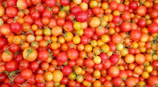 Scarlet Sunrise: itt a legújabb koktélparadicsom