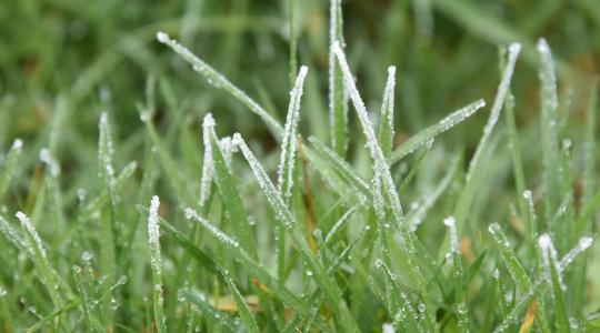 Gyep téli pihenő üzemmód – mit szabad és mit ne csináljunk?