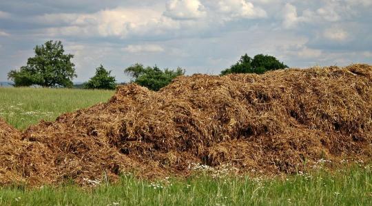 Trágyatárolás szabályai télen – csurgalékvédelem és környezet