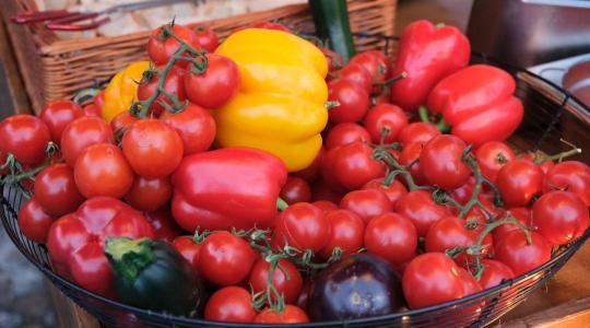 Szenved a paprika és a paradicsom – Marokkóban még nem indult el a betakarítás