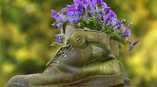 A 15 perces esti rutin, ami megmenti a kerted tavaszra