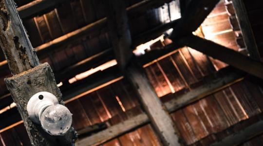 A kerted biztonsága télen: rágcsálók, rókák, nyestek