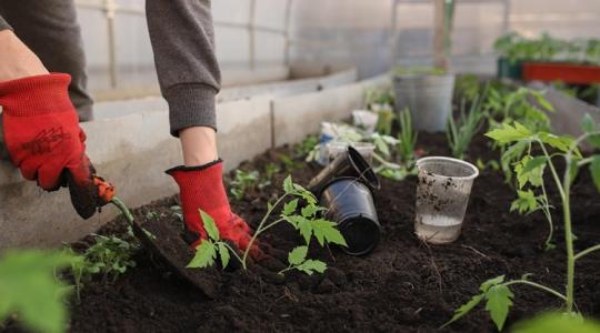 A legtakarékosabb téli fóliahackek egy helyen