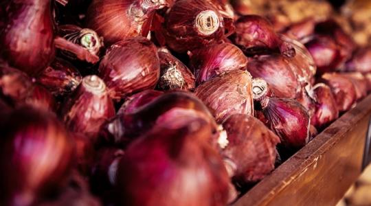 Házikerti pincék titkai – mit tárolj, mit ne?