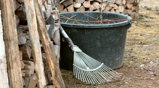 A legrosszabb tanács, amit télen hallhatsz a kertedről