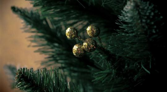 A karácsonyfa kérdés: cserepes, vágott vagy alternatív?