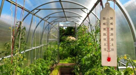 Fóliasátor fűtése okosan – tévutak és valódi megoldások