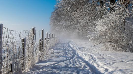 A tél legszebb 15 perces sétái a természetben
