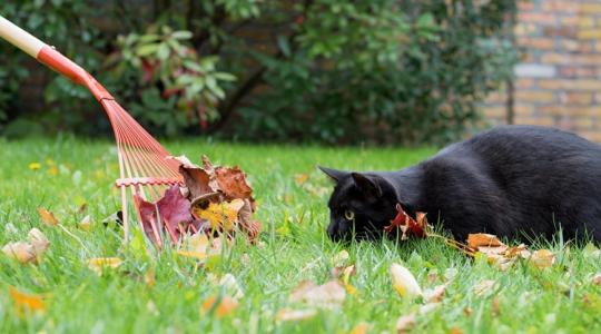 Téli „kert-spa”: a talaj és a fák kényeztetése