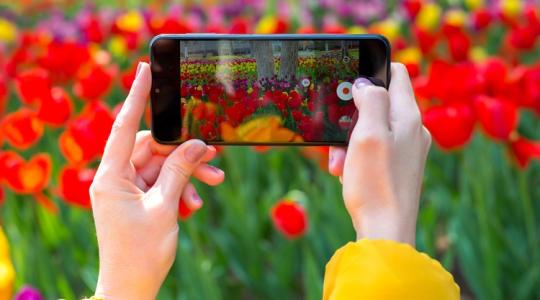 Ezeket a fotókat készítsd el a kertedről most