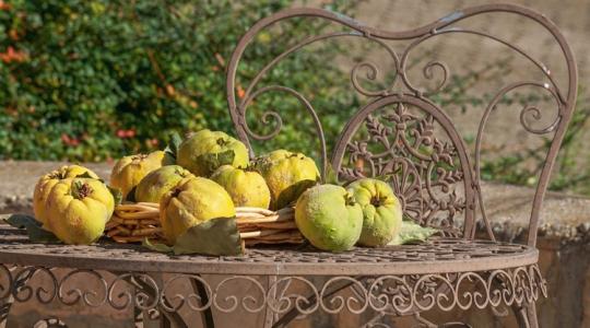 A legédesebb téli receptek a kertből
