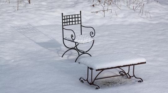 A téli kert hangjai – miért megnyugtató kint lenni?