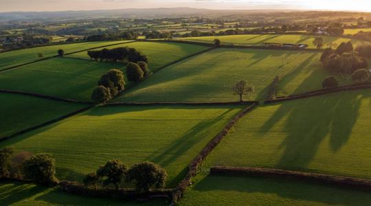 Megszólalt a vészcsengő: beépíti a termőföldjeit ez az ország