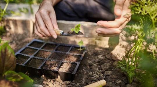 A jövő agráriuma: permakultúra, tanúsítás és versenyképesség kéz a kézben