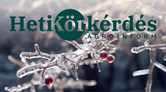 Pályázzunk, de mire ügyeljünk a fagyvédelmi eszközök kiválasztásánál? – Heti Körkérdés