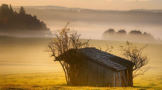 Bedurvul: még néhány nap, és talán visszasírjuk a hajnali ködöt