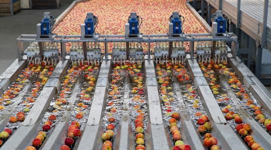 Meghosszabbított határidővel könnyíti meg a kormány a gazdák dolgát