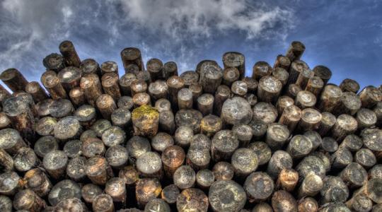 Lehet szidni a fatüzelést, de ez az energetikai tartalékunk