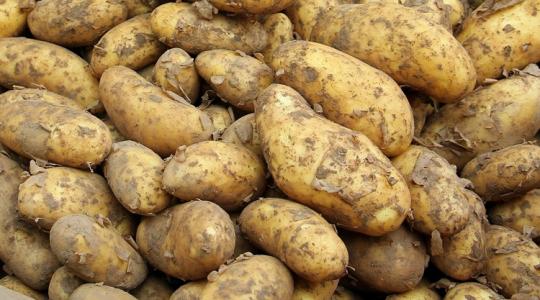 Óriásberuházás: olyat épít a MAIS, amilyen még nem volt Ukrajnában