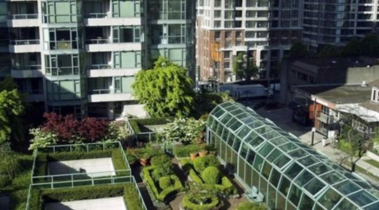 Így zöldítsd a környezetedet okosan – kis lépések, nagy hatás