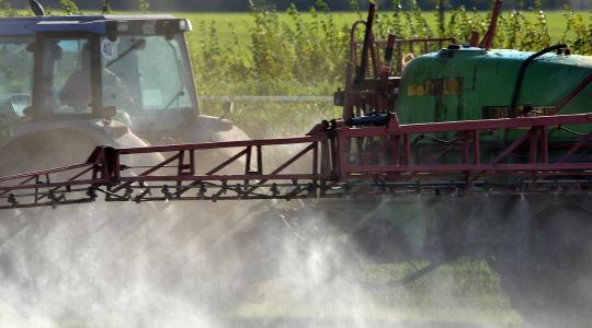 A jövő rovarirtója: környezetbarát peszticidek a Petri-csészéből