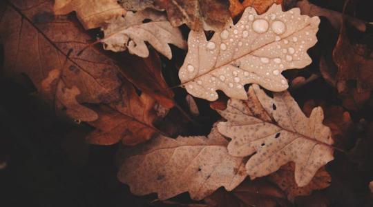 3 napos időjárás-előrejelzés: A felhőké lesz a főszerep