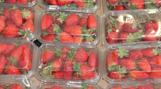 Most kell lépni: új uniós csomagolási szabályok jönnek