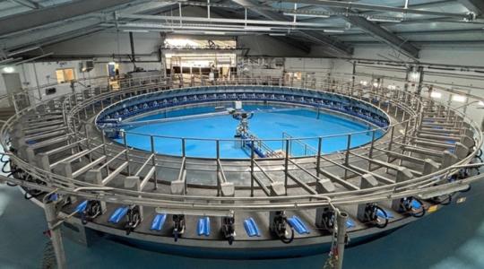 Nálunk működik Európa legmodernebb fejőháza +VIDEÓ