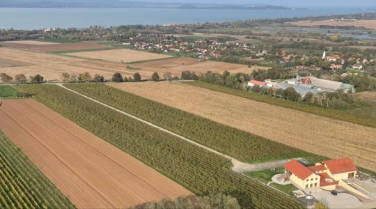 Meglepő: ezen a kontinensen keresik a jövőjüket a magyar prémium borok