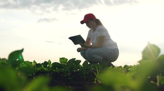 Nem bánták meg, hogy nőkre bízták a gazdálkodást