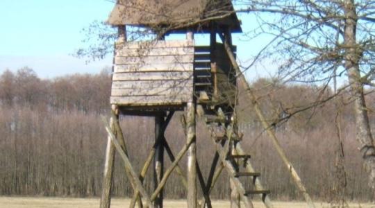 Tragédia a zalai erdőkben – holtan találtak egy vadászt a magaslesen