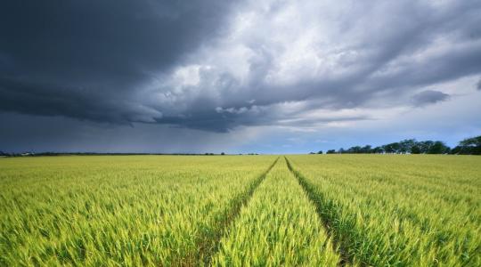 Így juthatsz nagyobb állami támogatáshoz