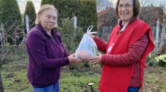 Zöldellő Kertek program: önellátásra ösztönöz