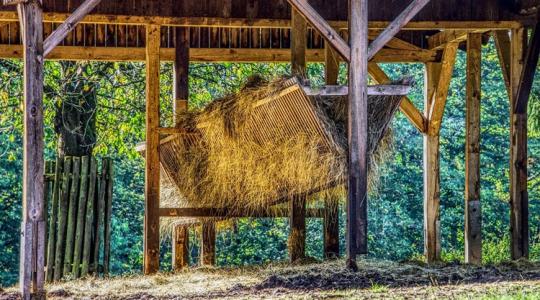 Ugrás az ismeretlenbe: így látják a 2027 utáni agrárpolitikát a természetvédők