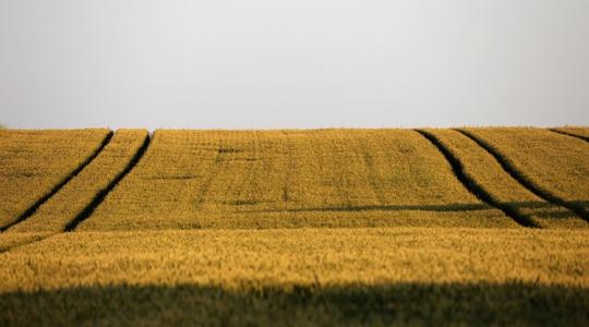 Növekvő terméshozam, regenerálódó talaj – egyszerre?