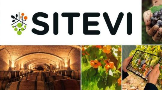 SITEVI – borászati, szőlészeti és gyümölcstermelői szakkiállítás 2025