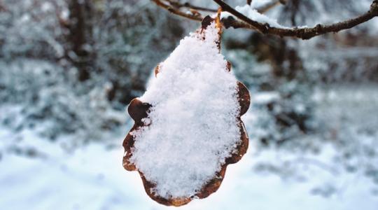 Időjárás: Ezeken a tájakon lehet havas eső ma este +VIDEÓ