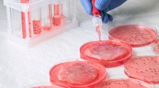 Műhús? Köszönjük, nem kérünk belőle