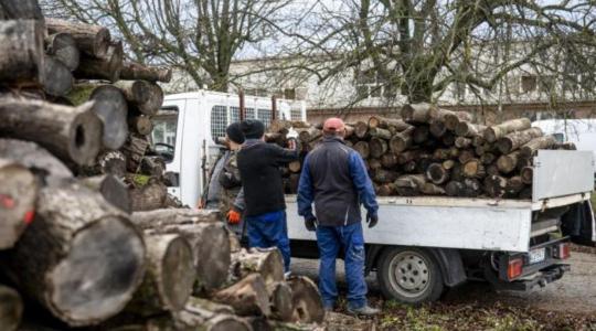A tűzifa a jövőben is része marad a hazai energiagazdálkodásnak