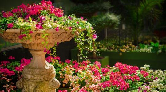 80 díjat osztottak ki a Virágos Magyarország versenyen