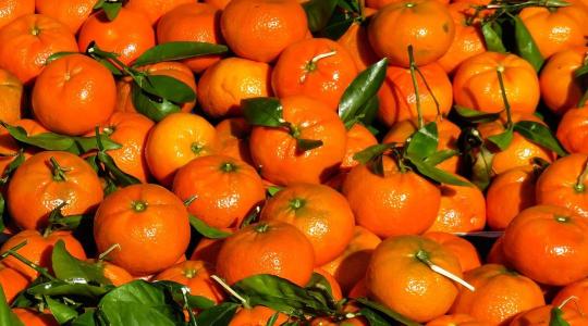 Szereted a mandarint? Akkor ezt jó, ha tudod róla