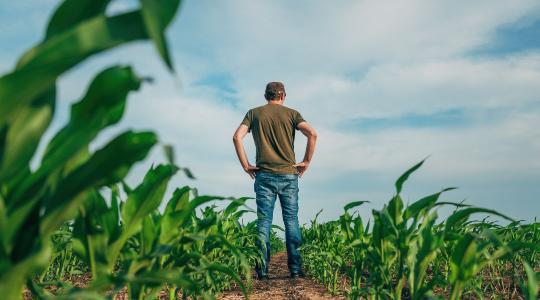 A jövő kérdése: ki fogja megtermelni az élelmiszert?