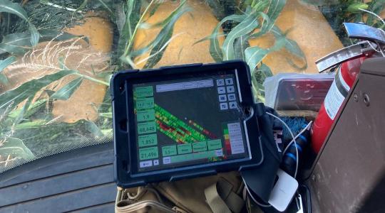 A sikeres növénytermesztés titka: így válassz fajtát és technológiát!