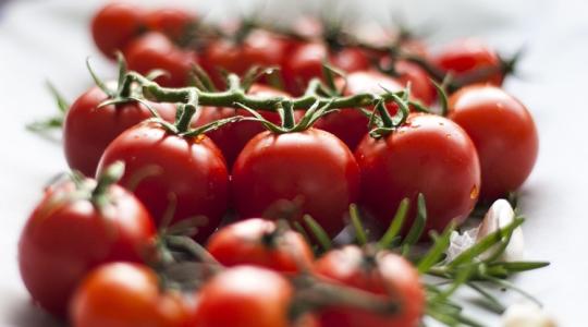 Áldozatul eshet a paradicsom a körülményeknek, látszanak az első jelek