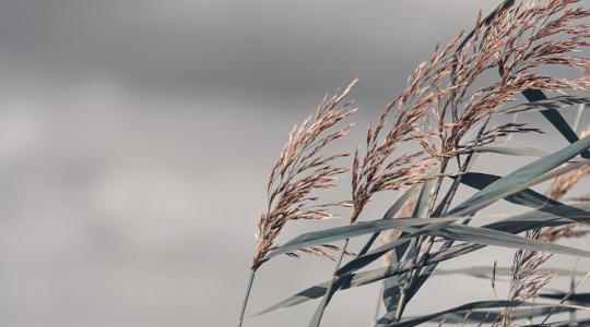 Téli folytatásra számítottunk, de hátraarcot vesz az időjárás +VIDEÓ
