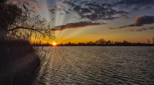 Mire nem jók a halastavak! Te gondoltál erre?