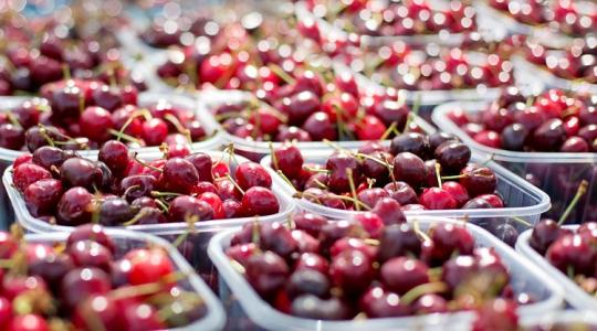 Új lehetőség termelőknek, nem érdemes kihagyni
